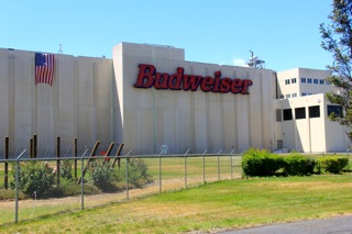 Budweiser