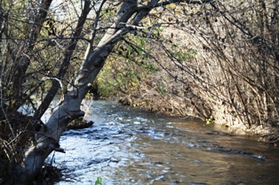 Garland Ranch