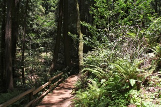 hiking trail