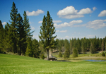 Lake Tahoe Golf