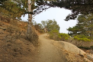 Black Hill Trail