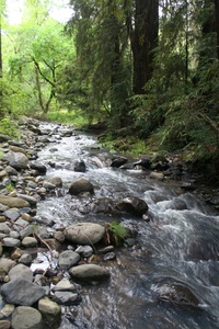 Bothe Napa Valley State Park