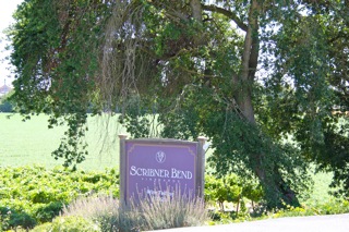 Scribner Bend Vineyards