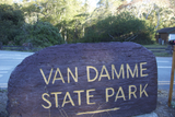 Van Damme State Park