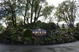 Arista Winery