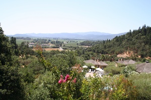 Napa Valley - view from Auberge du Soleil