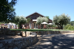 Bella Vineyards