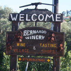 Bernardo Winery