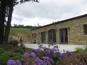 Black Ridge Vineyards