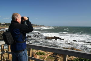 California Bed and Breakfast Cambria