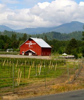 Bridgeview Vineyard and Winery