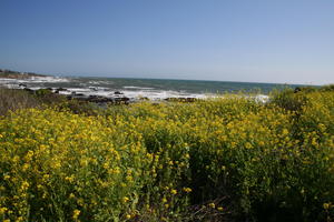 Cambria Lodging - Cambria