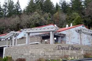 David Bruce Winery