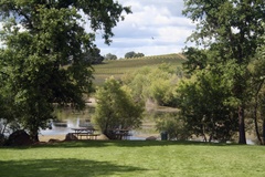 Best wineries for picnics