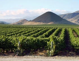 Edna Valley, San Luis Obispo