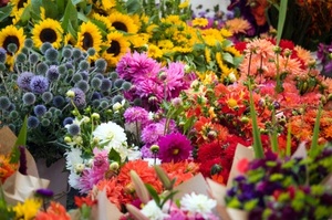 San Luis Obispo Farmers Market