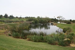 Glen Annie Golf