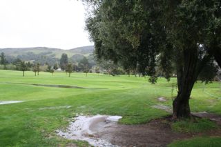 Laguna Lake Golf