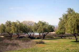 Temecula Valley Balloon & Wine Festival