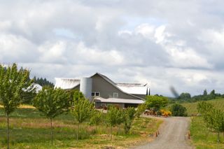 Laurel Ridge Winery