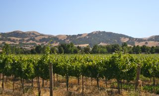 Livermore Wineries, Livermore Wine Country