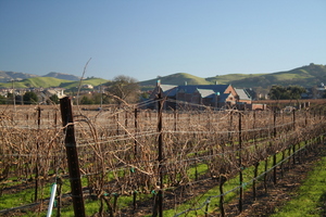 Wineries in Livermore