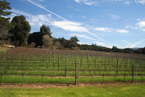 Monterey Wineries