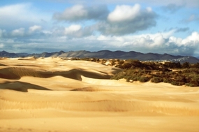 Oceano Dunes