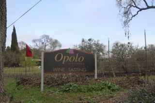 Opolo Vineyard