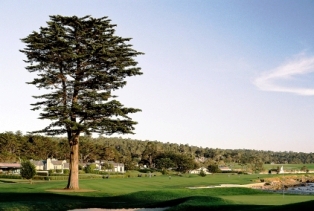 Monterey Golf 