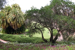 Presidio Park Wedding