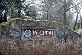 Rochioli Vineyards and Winery