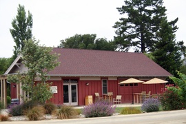 Saucelito Canyon Vineyard></a></p><p><a href=