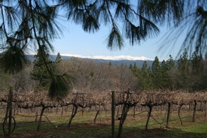 View of the Sierra mountains from Sierra Vista Winery