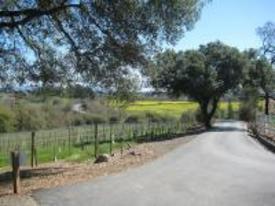 California Rivers Wine Tours