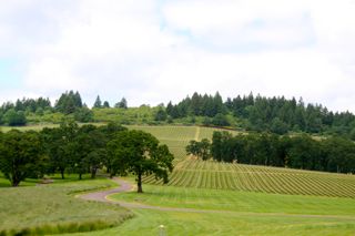 Stroller Winery