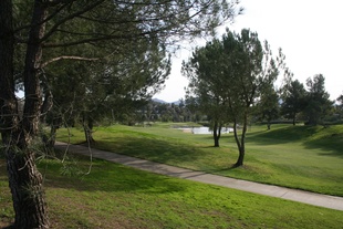 Temeku Hills Golf