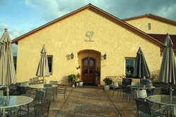 Tenuta Vineyards