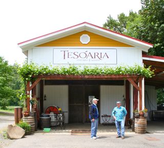 TeSoAria Vineyard