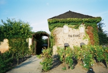 Tra Vigne, Napa Restaurant