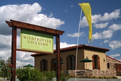 Wilderotter Wines