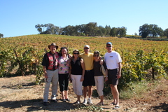 Wine Group - Amador Wine Tasting