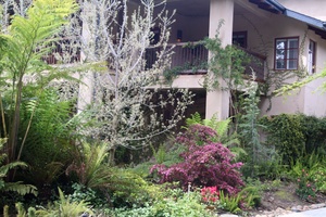 Wine Country Bed and Breakfasts - Lodi