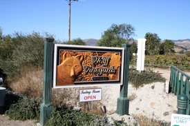 Wolf Vineyards