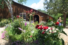 Outdoor Wedding Site