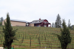 II Gioiello Winery