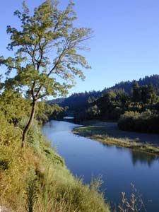 California Rivers Wine Tours