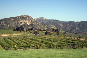 San Diego Wineries, wine tasting Southern California 